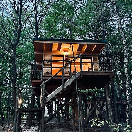 Living Forest Resort Moravske Toplice Esterno foto