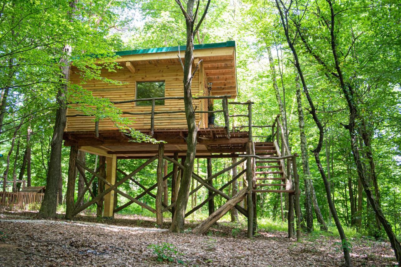 Living Forest Resort Moravske Toplice Esterno foto