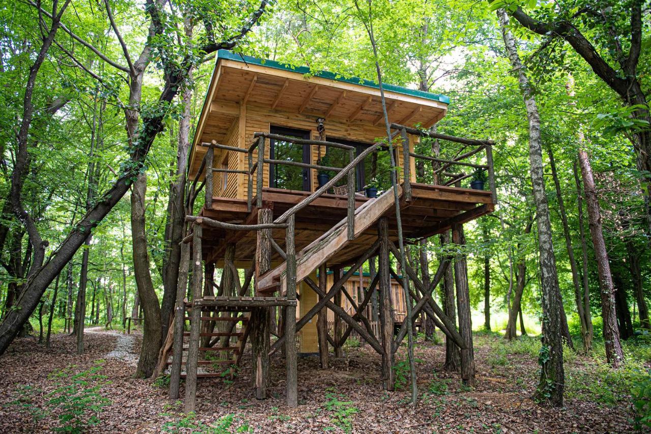 Living Forest Resort Moravske Toplice Esterno foto