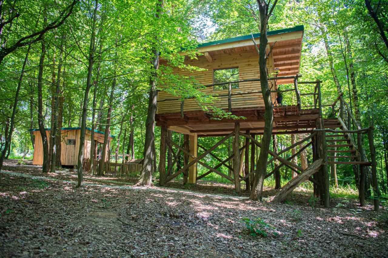 Living Forest Resort Moravske Toplice Esterno foto